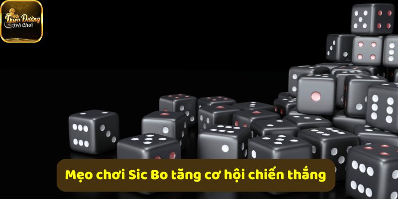 Bí quyết đặt cược Sic Bo hiệu quả từ cao thủ lâu năm chia sẻ